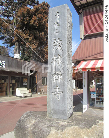 「青龍山 茂林禅寺」の石碑(群馬県館林市堀工町1570) 「青龍山 茂林禅寺」の石碑(群馬県館林市堀工町1570) 14244446