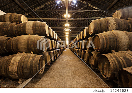 Wine cellar, Porto 14245623