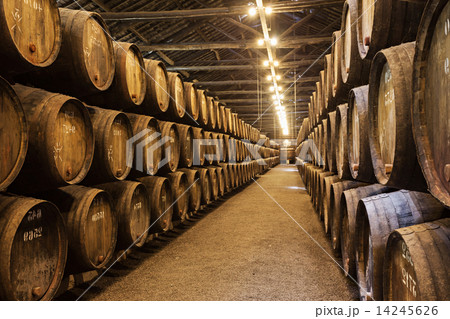 Wine cellar, Porto Wine cellar, Porto 14245626