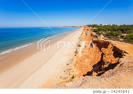 Falesia beach Falesia beach 14245641