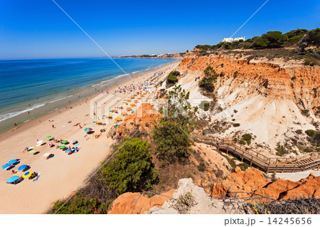 Falesia beach 14245656