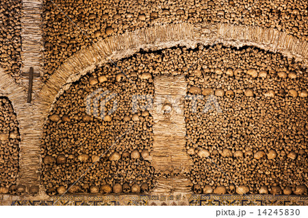 Chapel of Bones 14245830