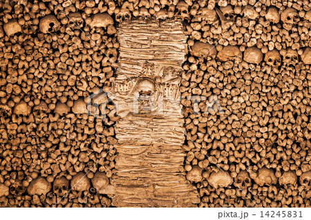 Chapel of Bones Chapel of Bones 14245831