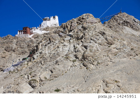 Namgyal Tsemo Gompa Namgyal Tsemo Gompa 14245951