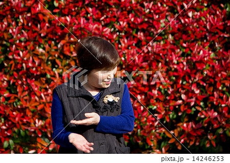 叔母さんの笑顔 14246253