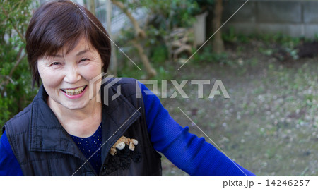 おばあちゃん 14246257