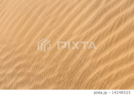 Sand pattern 14246525