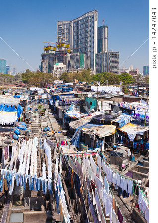 Dhobi Ghat, Mumbai 14247043