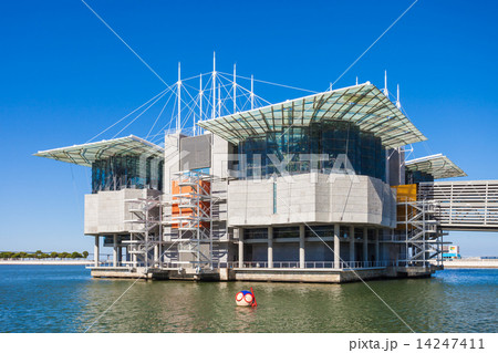 The Lisbon Oceanarium 14247411