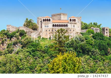 The Leiria Castle 14247437