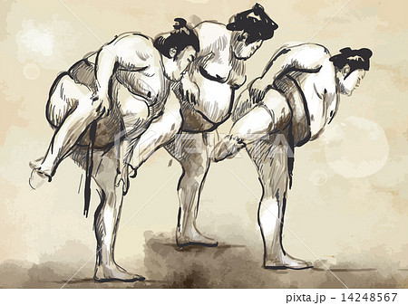 Sumo. Hand drawn vector in calligraphic style (converted) Sumo. Hand drawn vector in calligraphic style (converted) 14248567