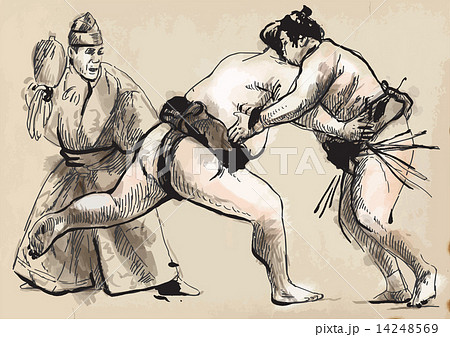 Sumo. Hand drawn vector in calligraphic style (converted) Sumo. Hand drawn vector in calligraphic style (converted) 14248569
