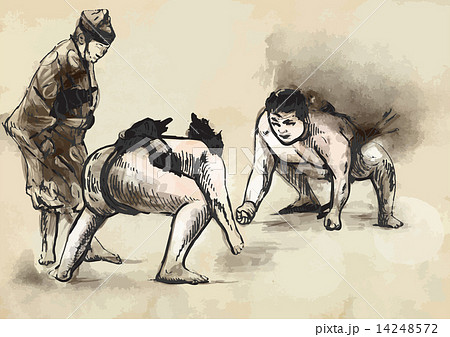 Sumo. Hand drawn vector in calligraphic style (converted) Sumo. Hand drawn vector in calligraphic style (converted) 14248572