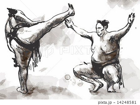 Sumo. Hand drawn vector in calligraphic style (converted) 14248581