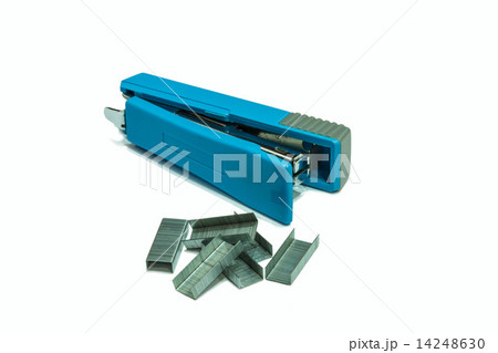 Blue Staper 14248630