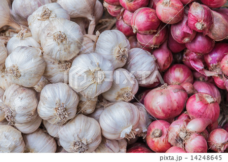 A photo of red onion and garlic 14248645