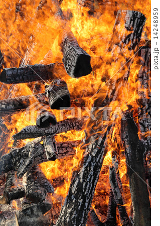 Fire, burning logs 14248959