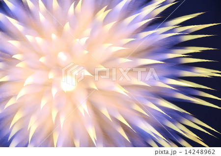 花火 花火 14248962