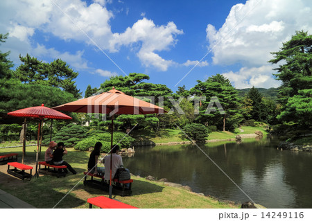 御薬園の夏 14249116