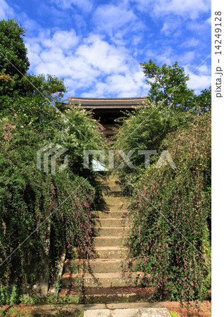 海蔵寺の９月 14249128