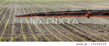 Agriculture, field spraying 14249129