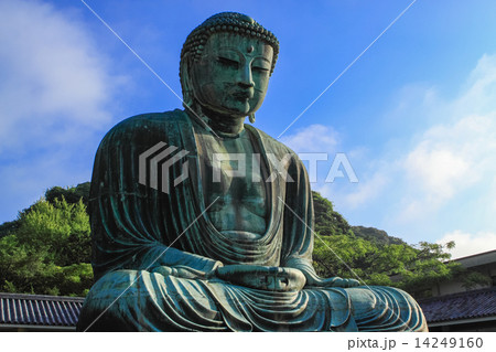 鎌倉大仏の夏 鎌倉大仏の夏 14249160