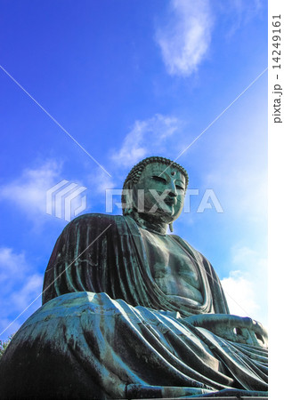 鎌倉大仏の夏 鎌倉大仏の夏 14249161