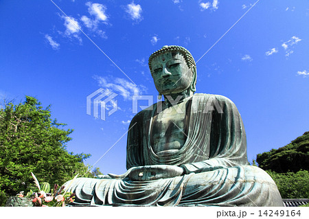鎌倉大仏の夏 鎌倉大仏の夏 14249164