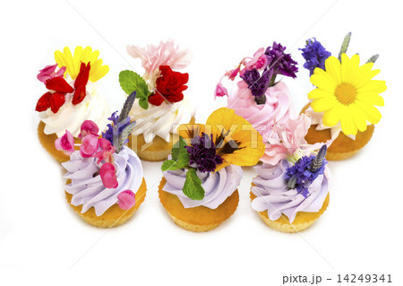 canaps with edible flowers meat cheese and seafood 14249341