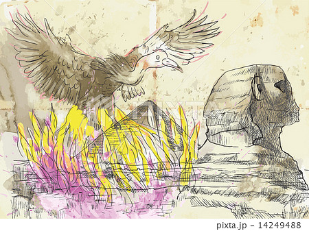 Phoenix and Sphinx 14249488