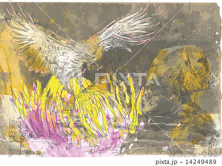 Phoenix and Sphinx 14249489