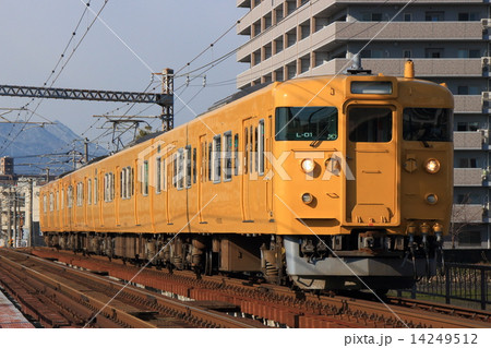 濃黄色の山陽本線115系 14249512
