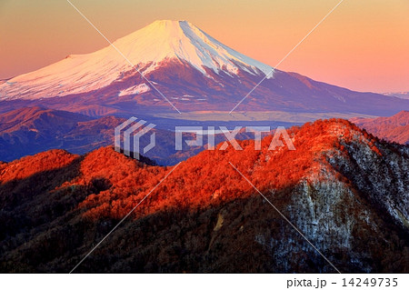 丹沢・蛭ヶ岳から見る朝焼けの富士山と檜洞丸 14249735
