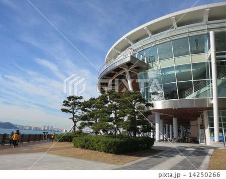 韓国　釜山　 14250266