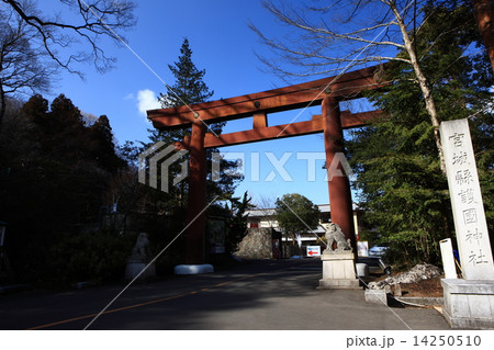 宮城縣護國神社 宮城縣護國神社 14250510
