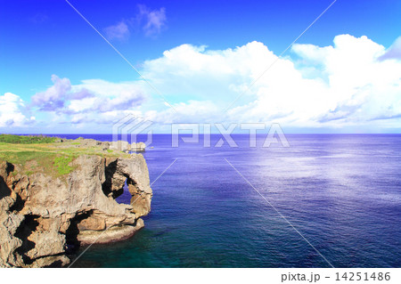 8月沖縄 万座毛・象の鼻 14251486
