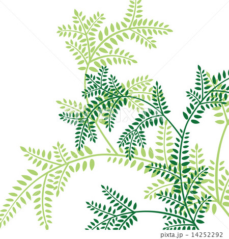 京文様 京文様 14252292