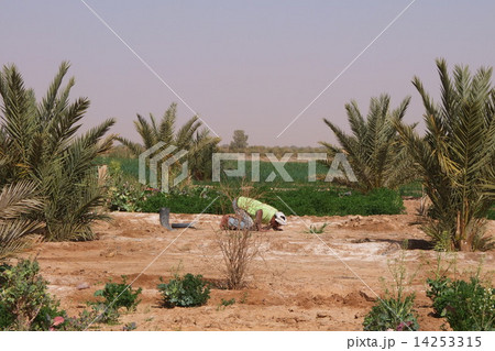 祈り 祈り 14253315