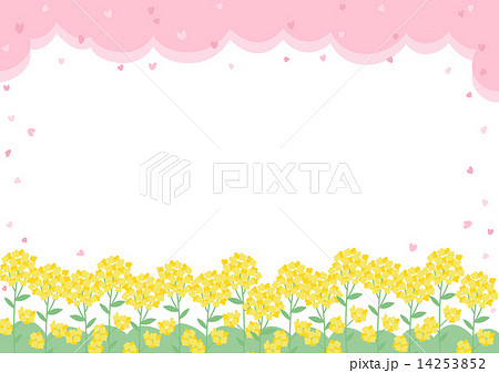 菜の花と桜のフレームのイラスト素材