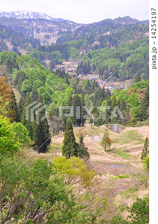 新緑の季節 新緑の季節 14254197