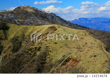 丹沢山から見る不動の峰・蛭ヶ岳方面の笹原に伸びる登山道 14254678
