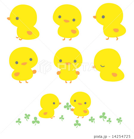 ひよこ　ポーズ 14254725