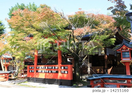 車折神社 14255160