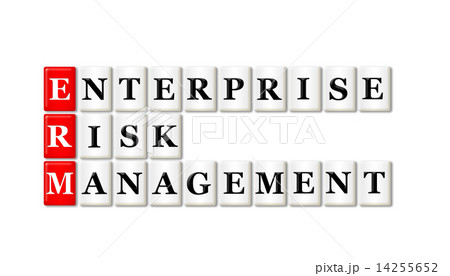 Enterprise Risk Management Enterprise Risk Management 14255652