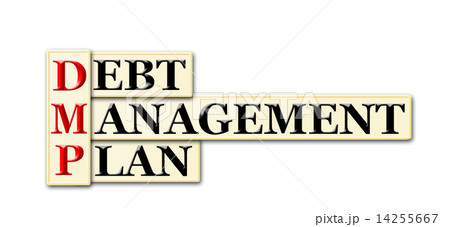 Debt Management Plan 14255667