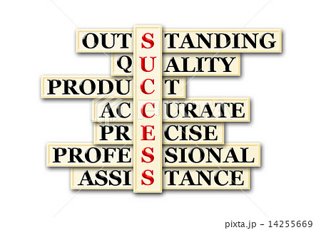 success success 14255669