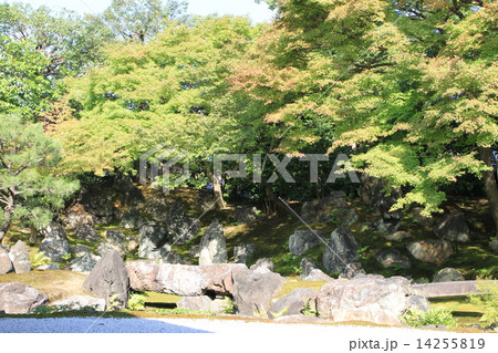 圓徳院 圓徳院 14255819