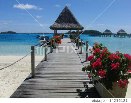 船着き場 船着き場 14256121