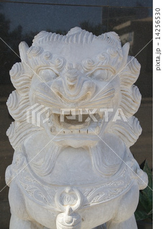 Sculpture of Chinese guardian lion Sculpture of Chinese guardian lion 14256530