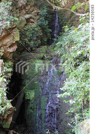 松尾大社 14256585